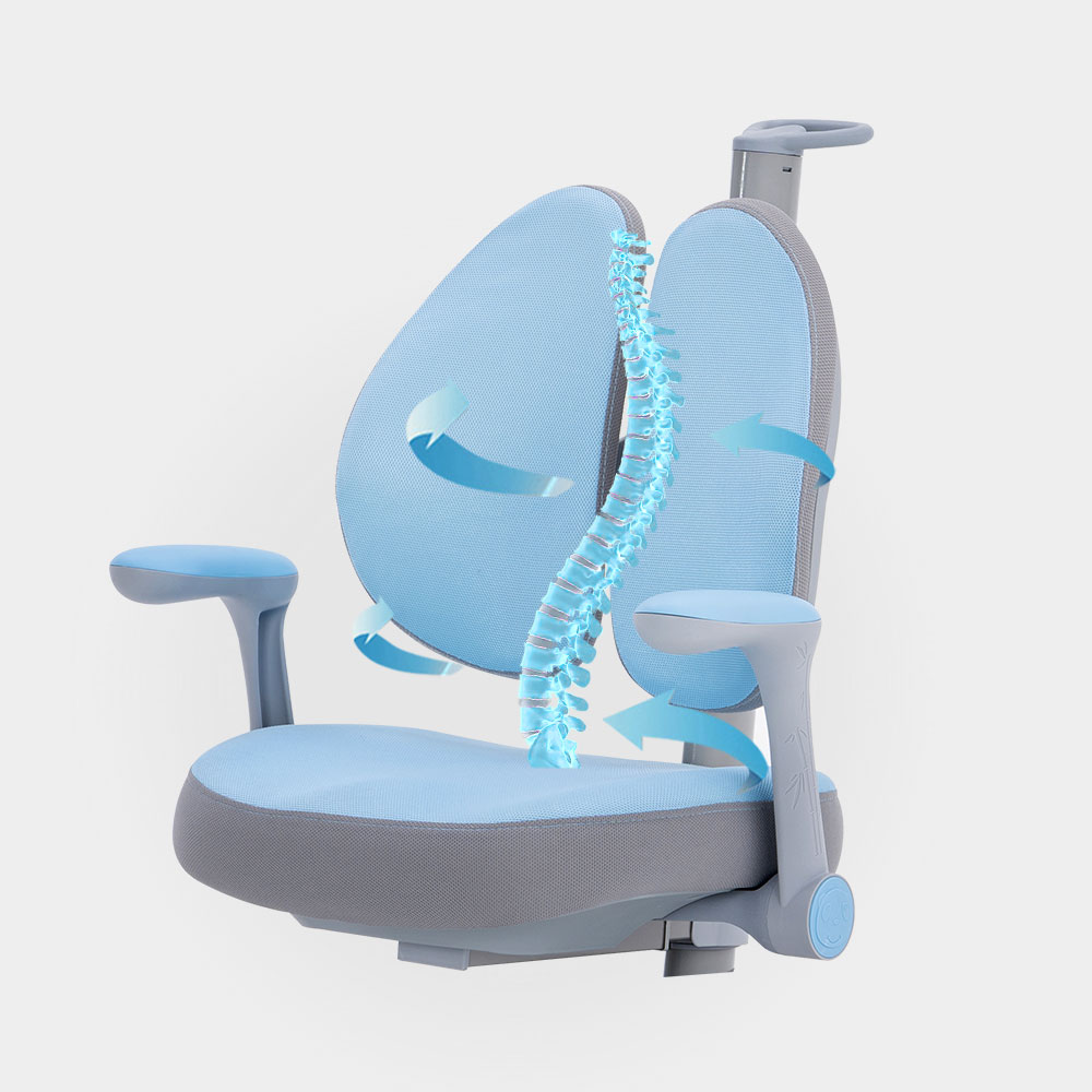 # Sedia da Studio Ergonomica p - Office Furniture Manufacturers recensione e prezzo